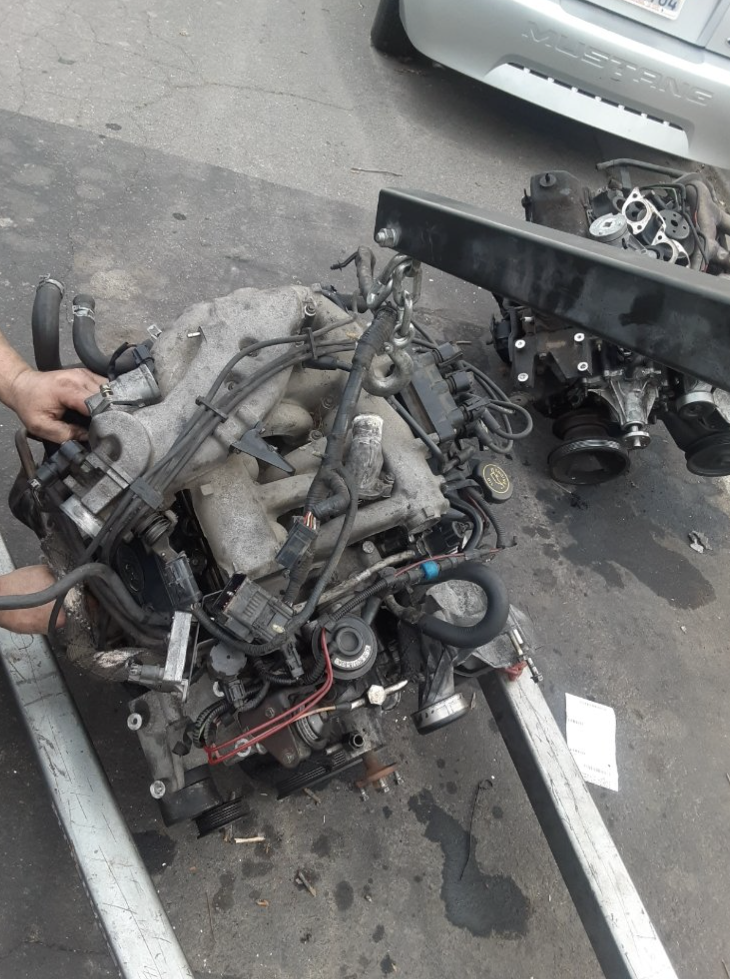 this image shows car repair in Tampa, FL